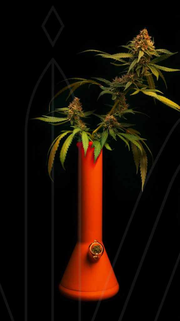 Parafernalia
